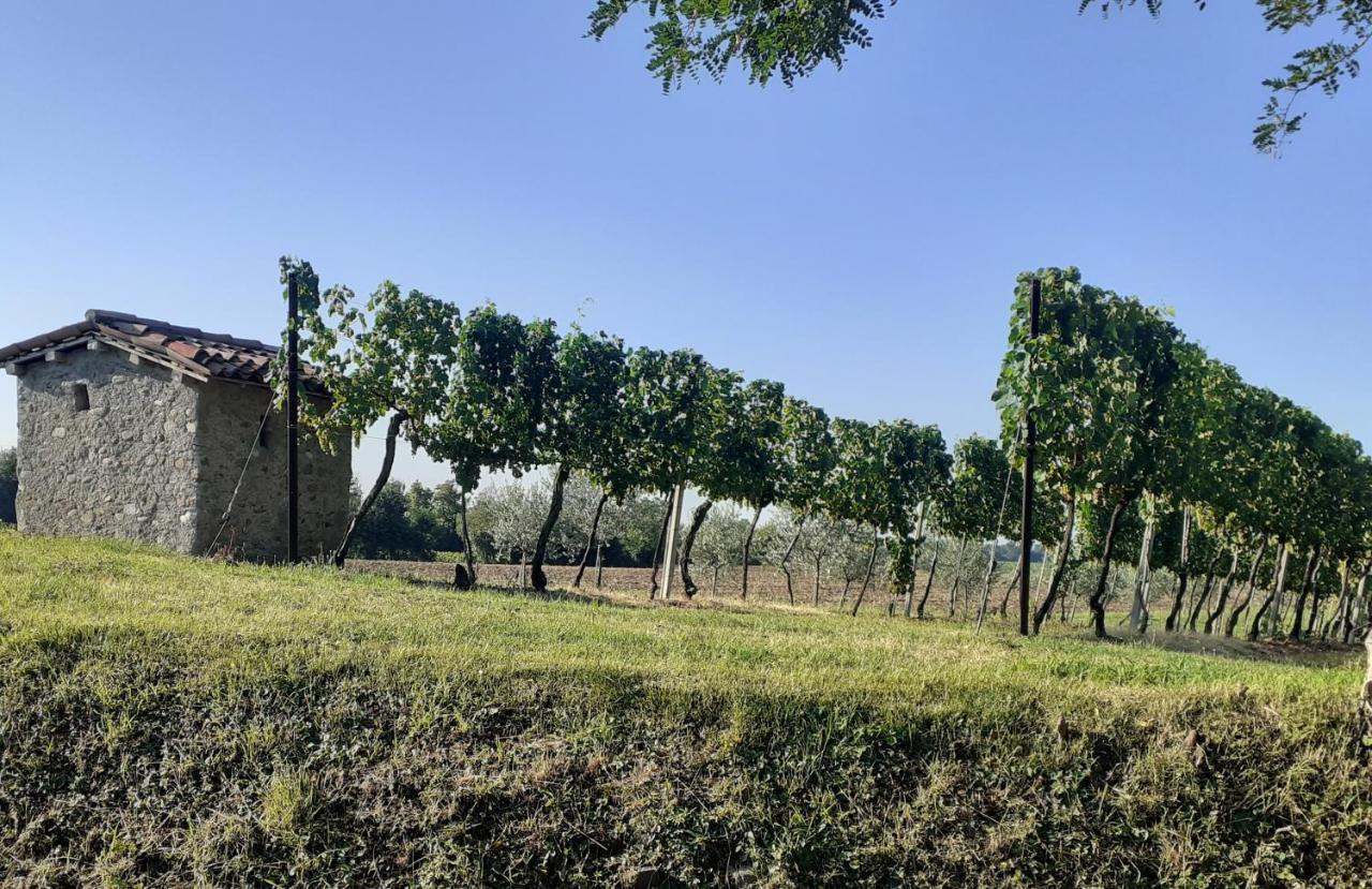 Vicolo Del Nido B&B Paderno Franciacorta Eksteriør bilde