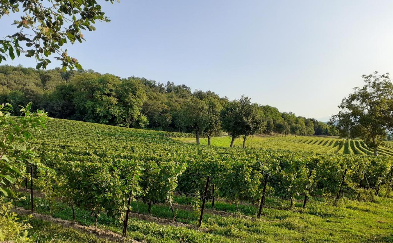 Vicolo Del Nido B&B Paderno Franciacorta Eksteriør bilde