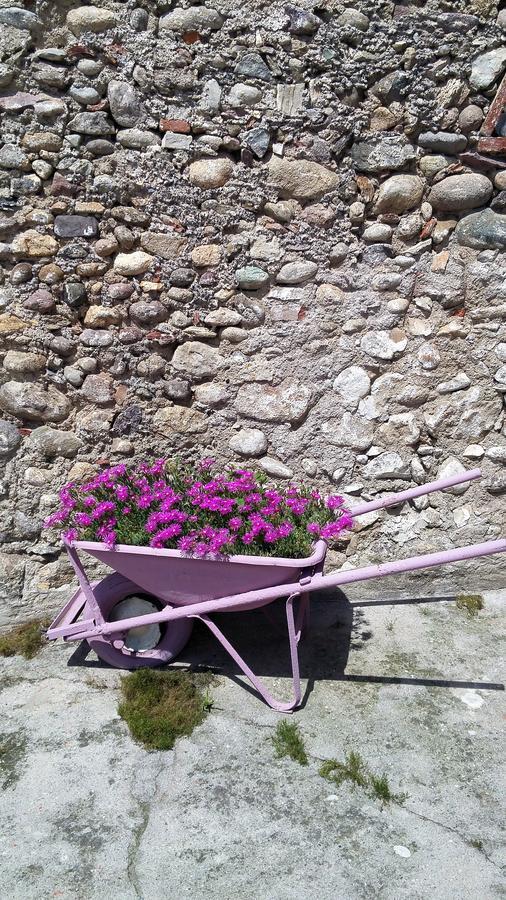 Vicolo Del Nido B&B Paderno Franciacorta Eksteriør bilde